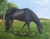 /album/a102-peintures-sur-huile/b106a-173-dscf3744-cheval-noir-vf-dec-2012-jpg/